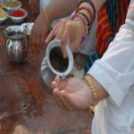 Vraj-Yatra-2014- (726)